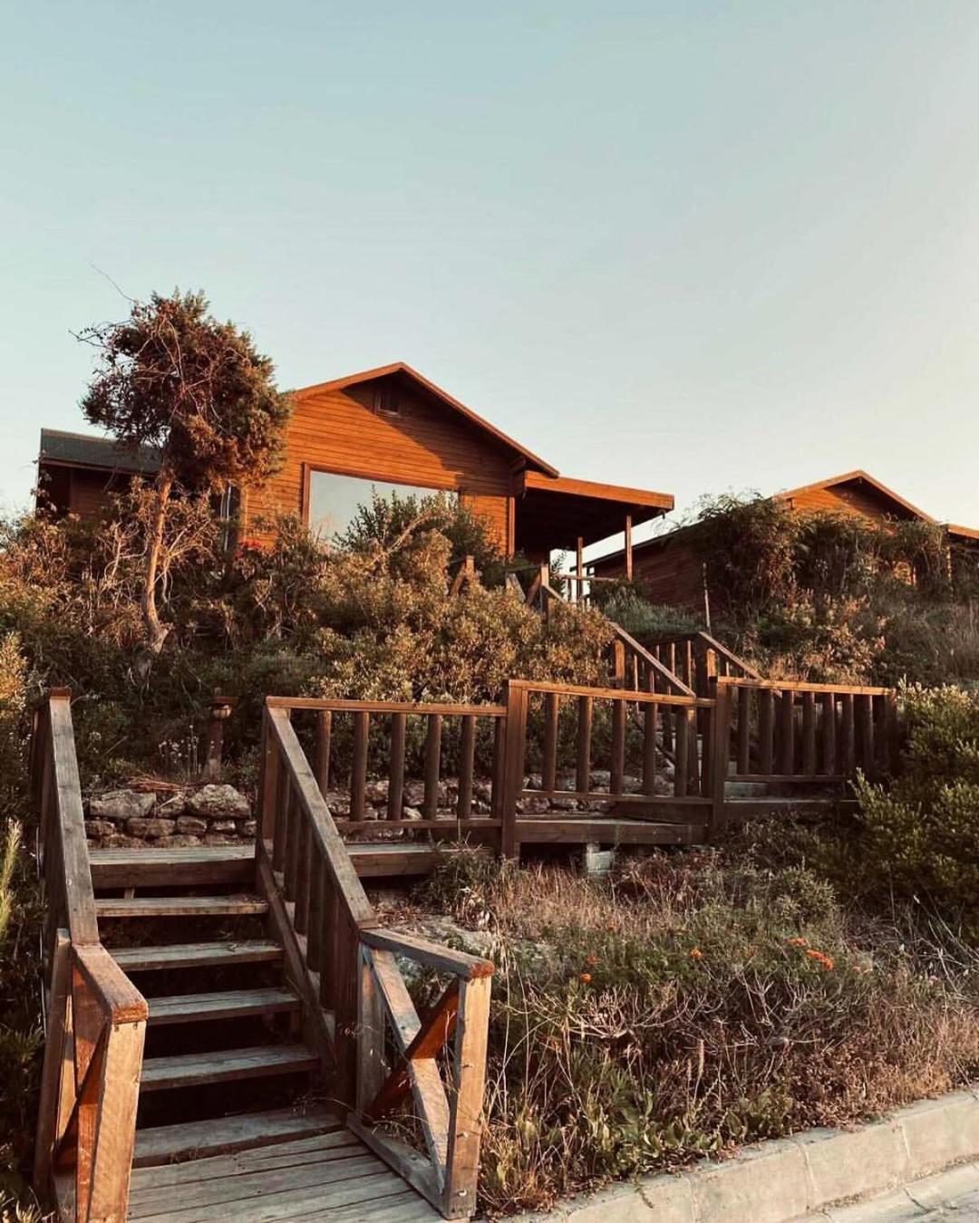 Zambak Holiday Village & Restaurant Superb Seafront Location ! Agios Georgios  Exterior foto
